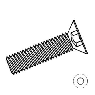 Screw