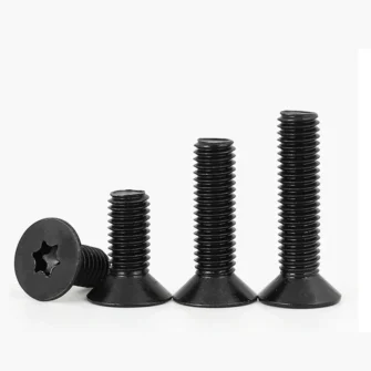 GB2673 10.9 Grade Cabon Steel Torx Screw