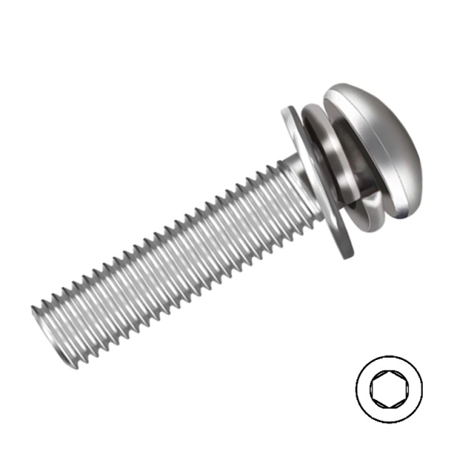 Button Head Socket Screw with Washers M2x6 304 Stainless Steel