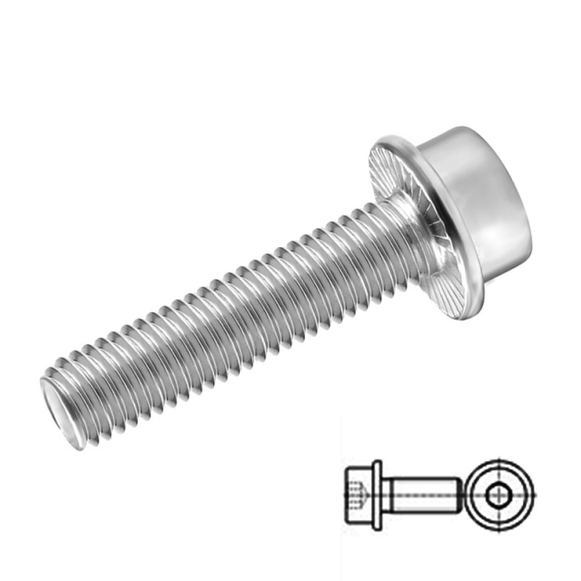 DIN 251 Socket Flange Bolt M6x30 304 Stainless Steel