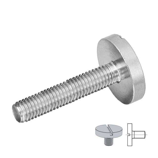 GB 833 Slotted Large Cheese Head Screw M2.5x3 304 Stainless Steel