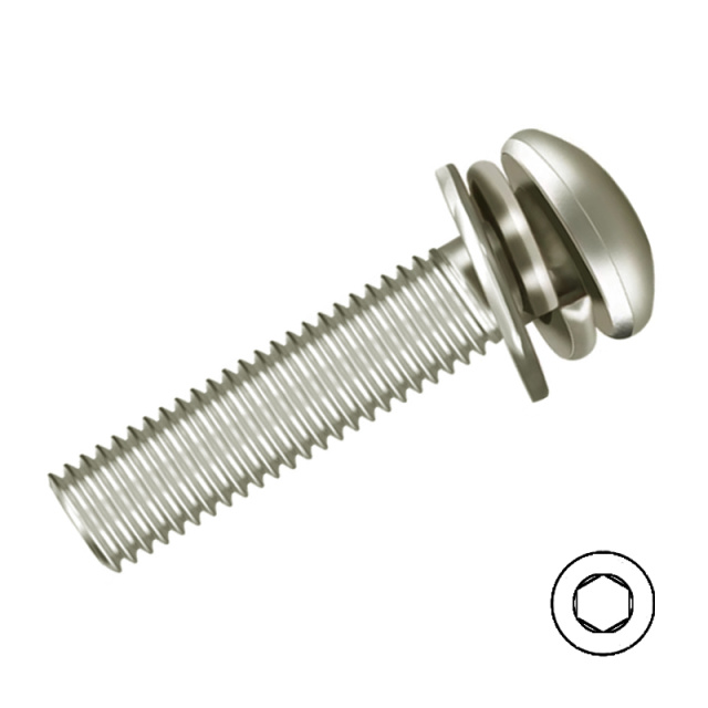 Button Head Socket Screw with Washers M6x20 10B21 Carbon Steel