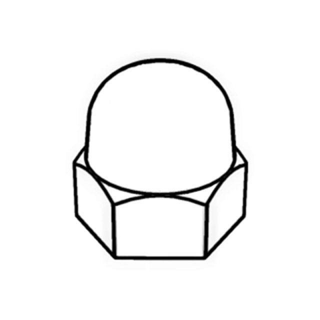 DIN 1587 Hex Cap Nut (One Piece) M20 304 Stainless Steel