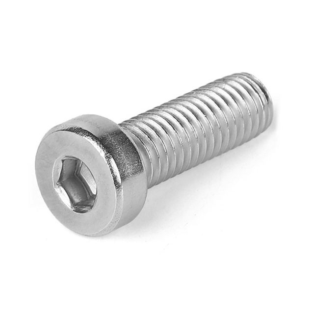 Socket Low Head Cap Screw Full Thread M6x15 304 Stainless Steel