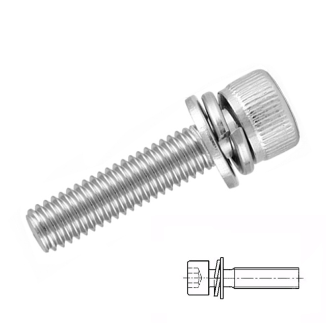 Socket Head Cap Screw with Spring & Plain Washers M6x16 316 Stainless Steel