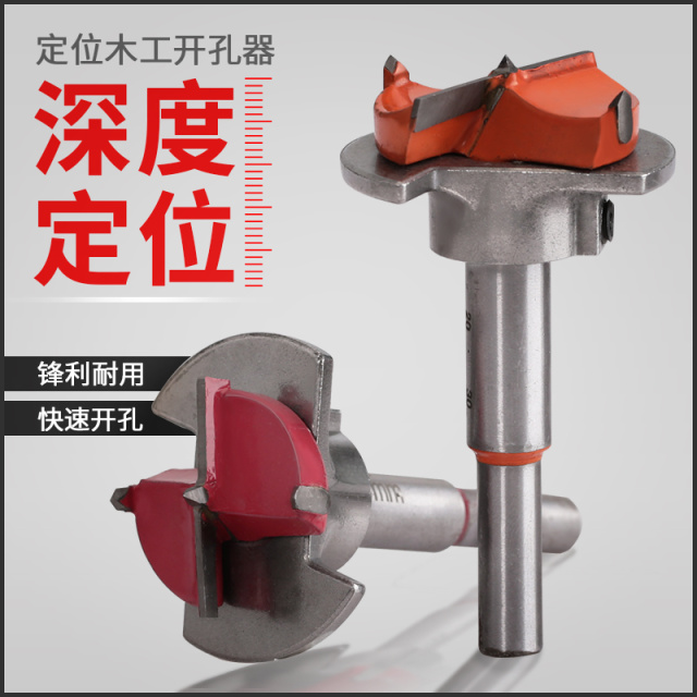 GB/T 14897.6 Wood Dowel Hole Jig 35mm (Adjustable) Alloy Steel